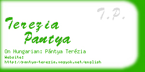 terezia pantya business card