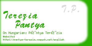 terezia pantya business card